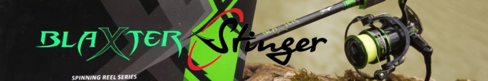 Stinger Blaxter Match