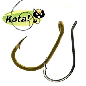 Kota