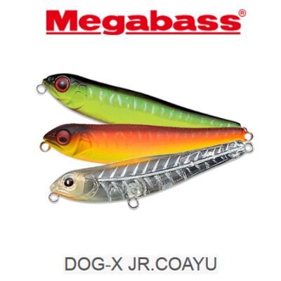 Megabass Dog-X Jr. Coayu