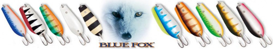 Blue Fox