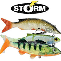 Storm