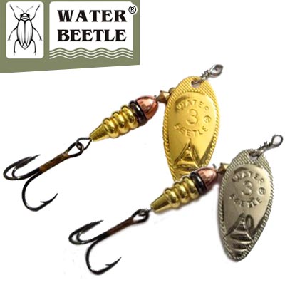 Water Beetle