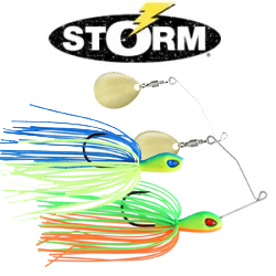 Storm