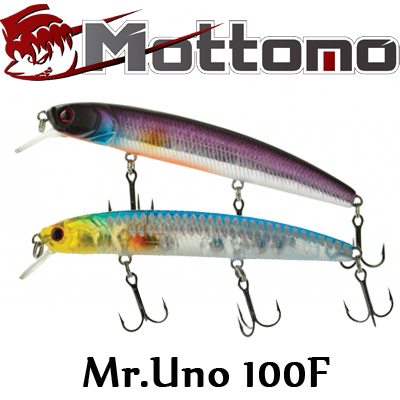 Mottomo Mr.Uno 100F