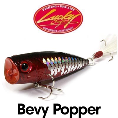                                          Lucky Craft Bevy Popper