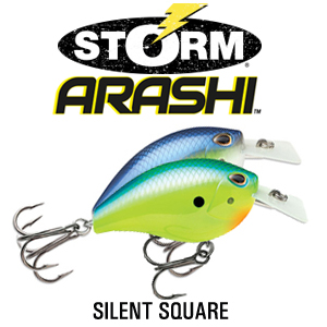 Storm Arashi Silent Square