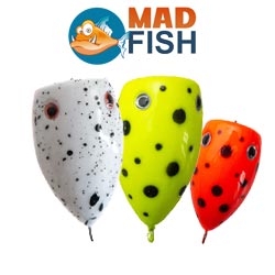 Mad Fish