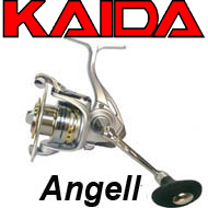 Kaida Angell