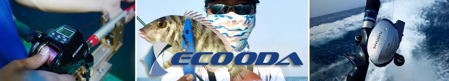 Ecooda