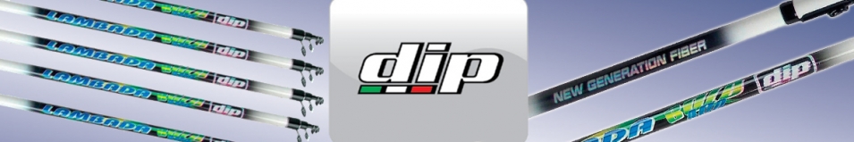 Dip