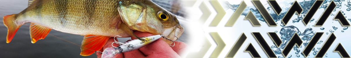 Daiwa SC Shiner 5SP