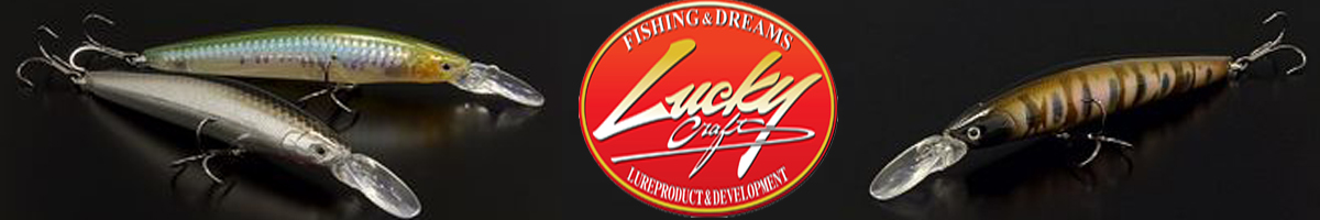 Lucky Craft Commonsence Minnow Raiou 95SR 
