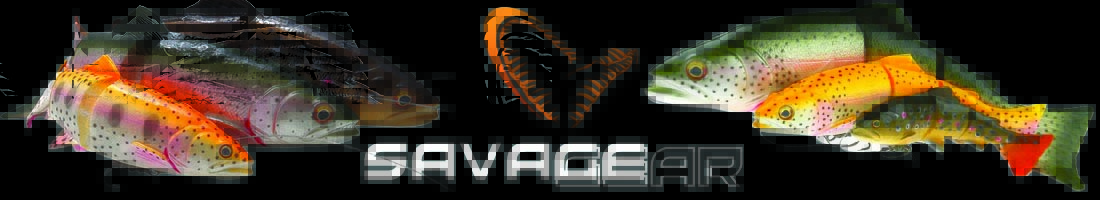 Savagear 3D Line Thru Trout 20 93g SS