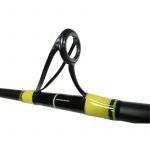 Удилище для ловли сома Black Cat DF Passion Pro II 270 см, 300-600 гр.