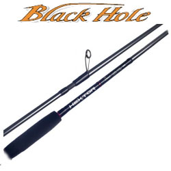Black Hole Hektor