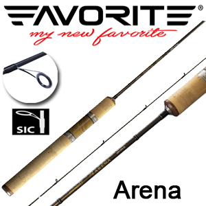 Favorite Arena