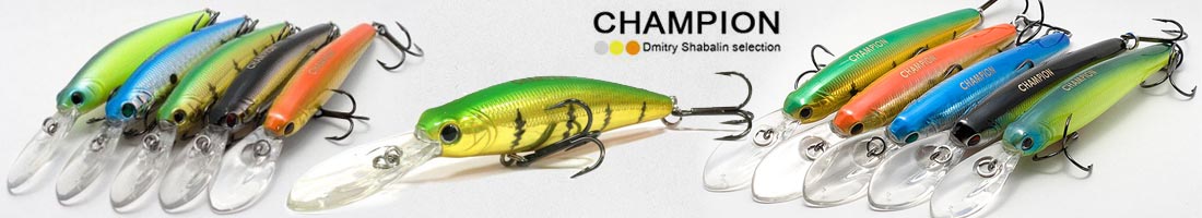 Champion 8034 AM 60SP