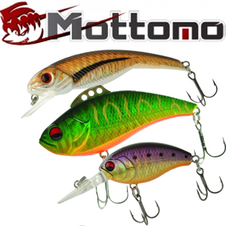 Mottomo