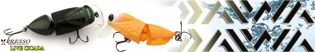 Daiwa Presso Live Cicada