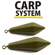 Carp System PV
