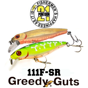 Pontoon21 Greedy Guts 111F-SR 