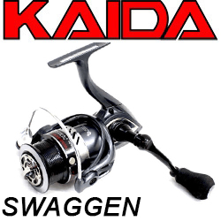 Kaida Swagger