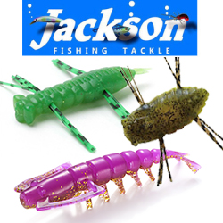 Jackson