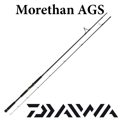 Daiwa Morethan AGS