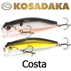 Kosadaka Costa