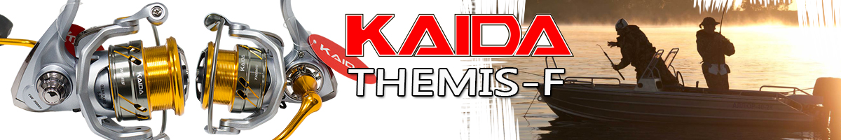 Kaida THE-F