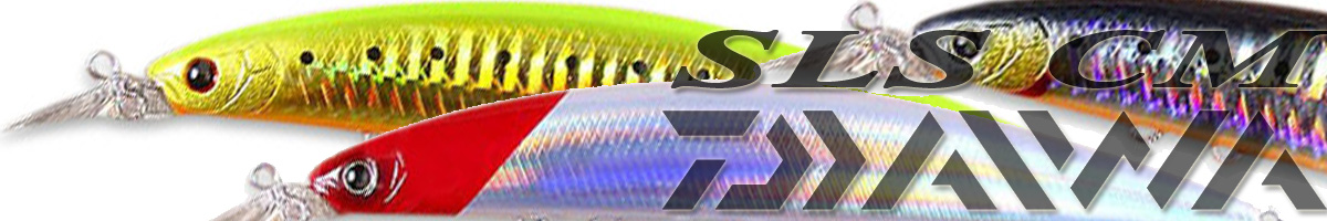 Daiwa SLS CM 13F