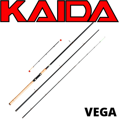 Kaida Vega