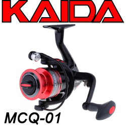 Kaida MCQ-01