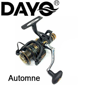 Dayo Automne