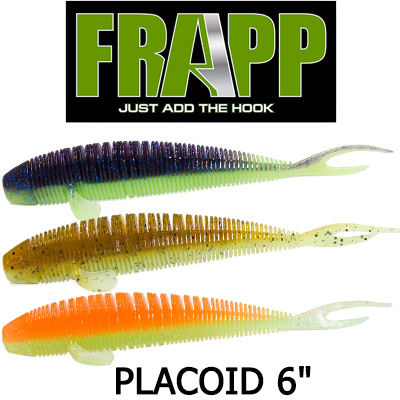 Frapp Placoid 6"