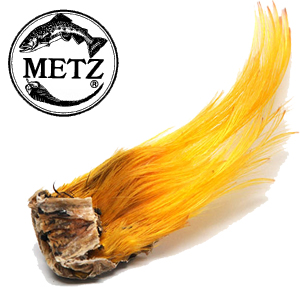 Metz Gold Pheasant Crest 
