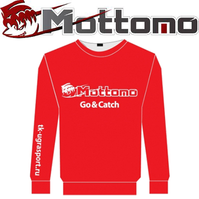 Свитшот с логотипом Mottomo