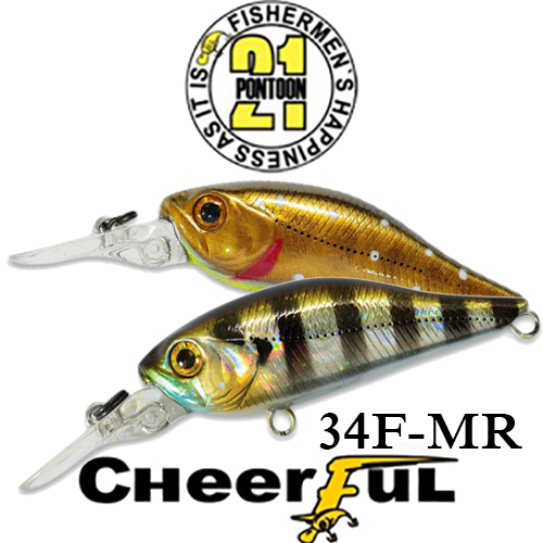 Pontoon21 Cheerful 34F-MR