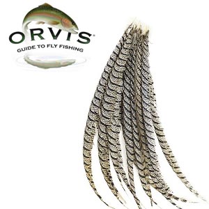 Orvis Lady Amherst Center Tail Natural 