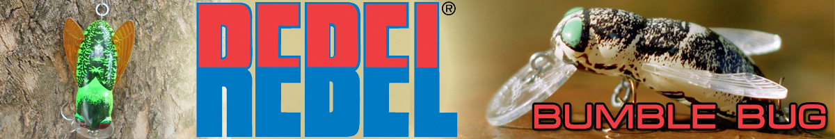 Rebel Bumble Bug