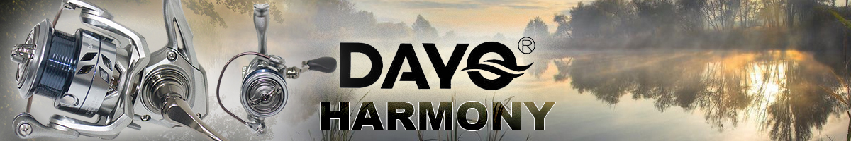 Dayo Harmony