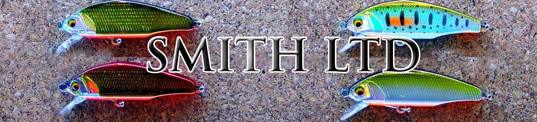 Smith D-Inсite 53