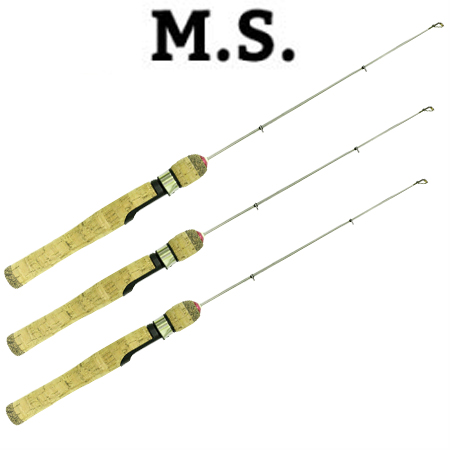 MS
