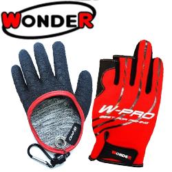 Wonder