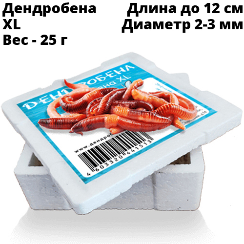 Червь Дендробена XL 25 г