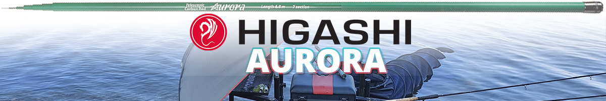 Higashi Aurora