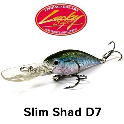 Lucky Craft Slim Shad D7