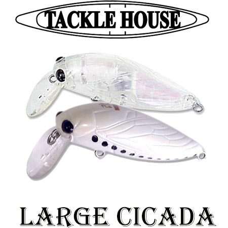 Tackle House Elfin Large Cicada