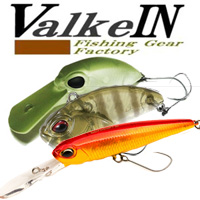 ValkeIN
