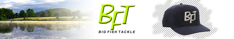 BFT Cap Snap Back